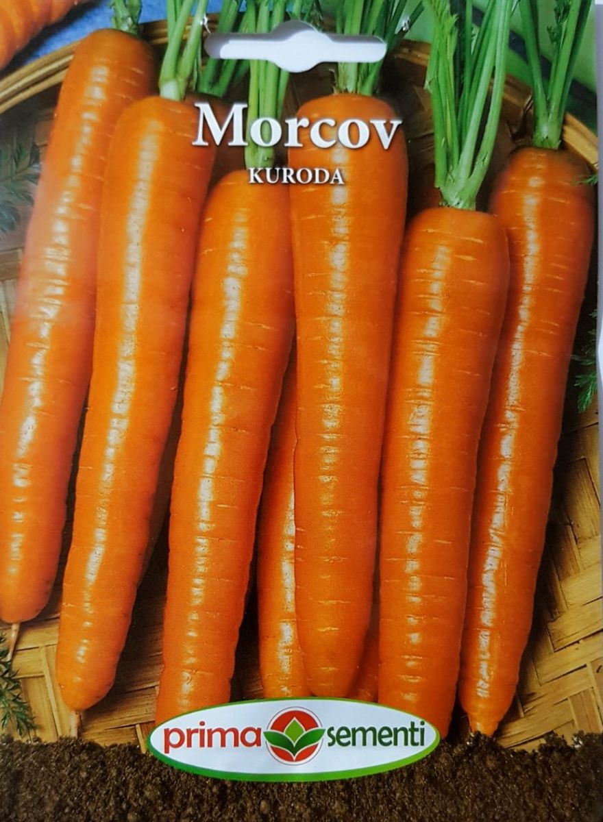 seminte-morcovi-kuroda-prima-sementi