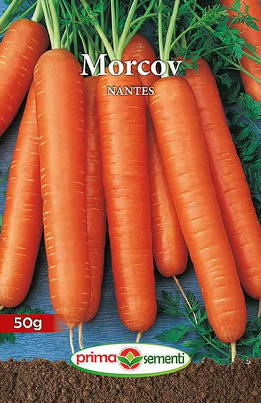 Seminte morcovi Nantes (50 g), Prima Sementi