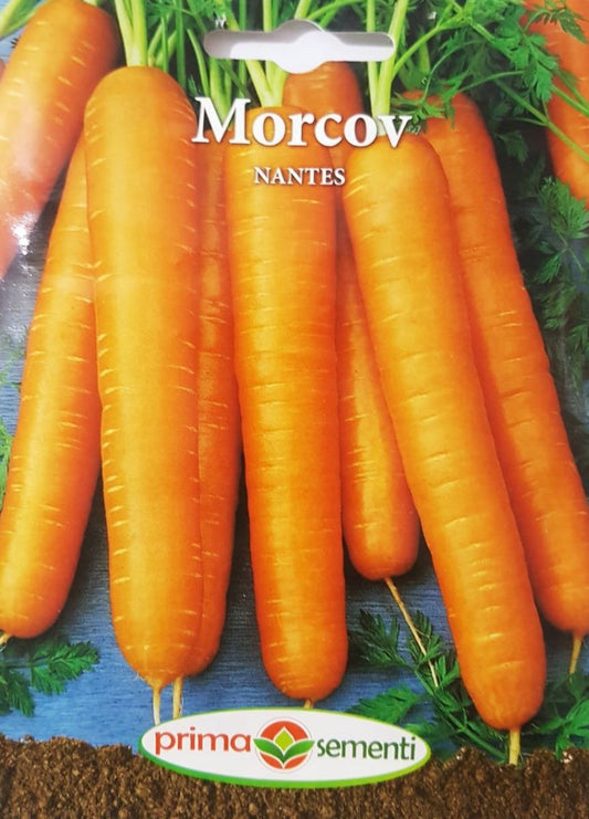 Seminte morcovi Nantes, Prima Sementi