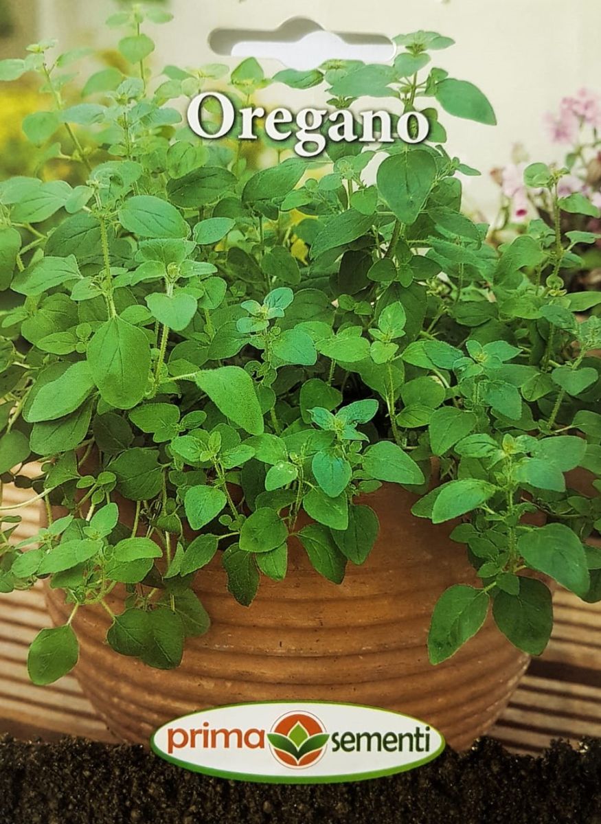 seminte-oregano-0-5-g-prima-sementi