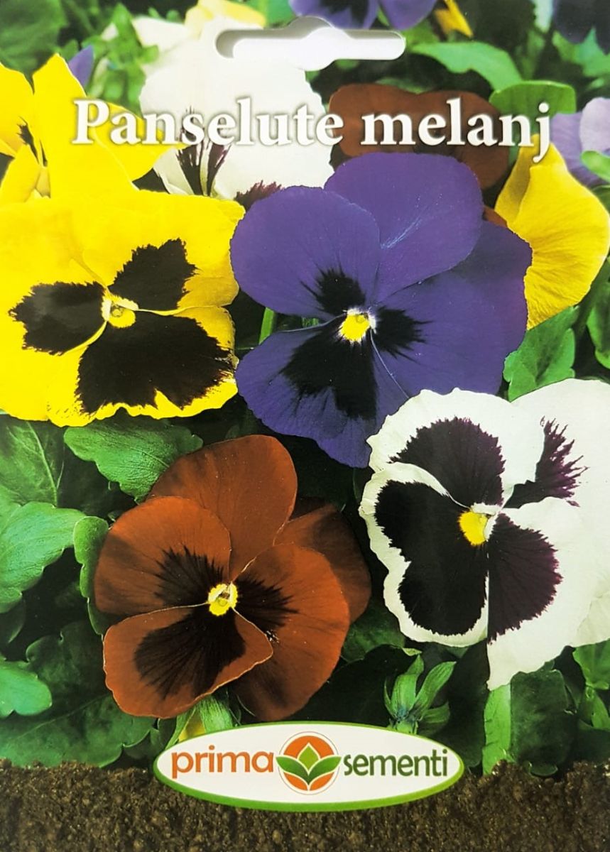 seminte-panselute-mix-de-culori-prima-sementi