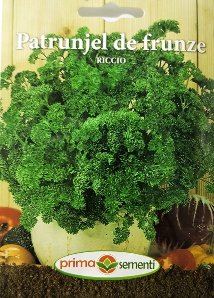 seminte-patrunjel-de-frunze-riccio-5-g-prima-sementi