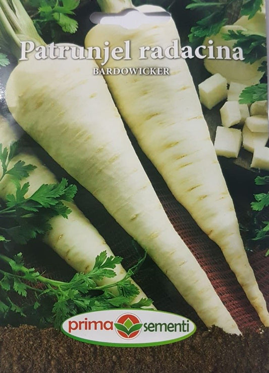 Seminte patrunjel de radacina Bardowicker, Prima Sementi