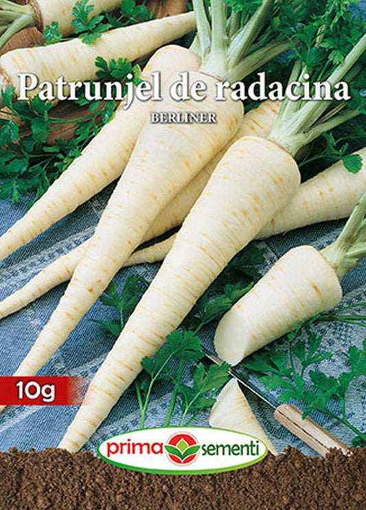 Seminte patrunjel de radacina Berliner (10 g), Prima Sementi
