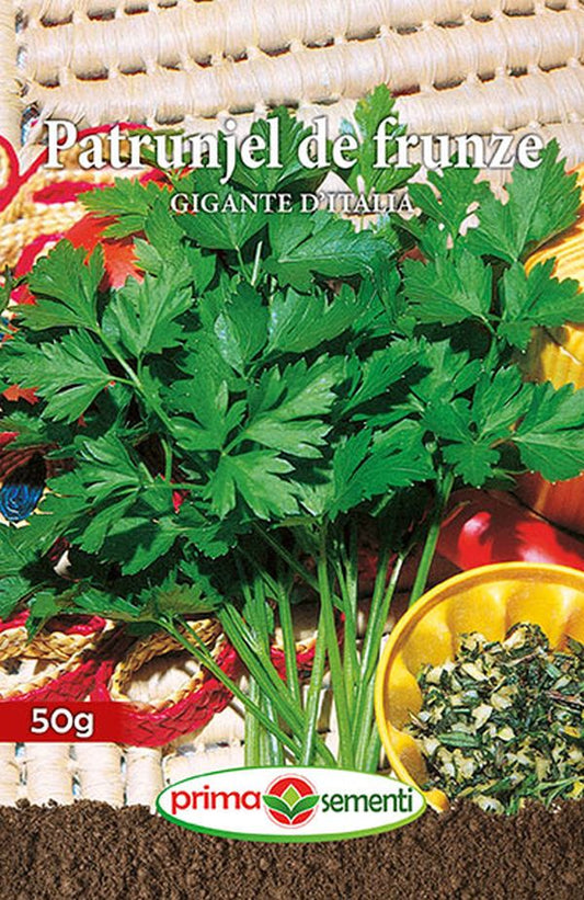 Seminte patrunjel frunze Gigante D Italia (50 g), Prima Sementi