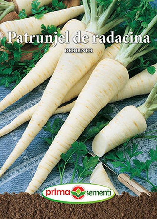 Seminte patrunjel radacina Berliner (5 g), Prima Sementi