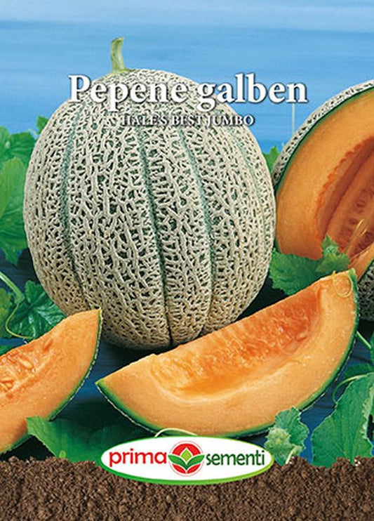 Seminte pepene galben Hale's Best Jumbo (3 g), Prima Sementi