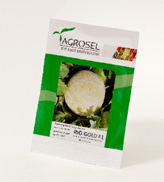 Seminte pepene galben Rio Gold F1 (500 seminte), Agrosel