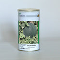 Seminte pepene verde Sugar Baby, Agrosel