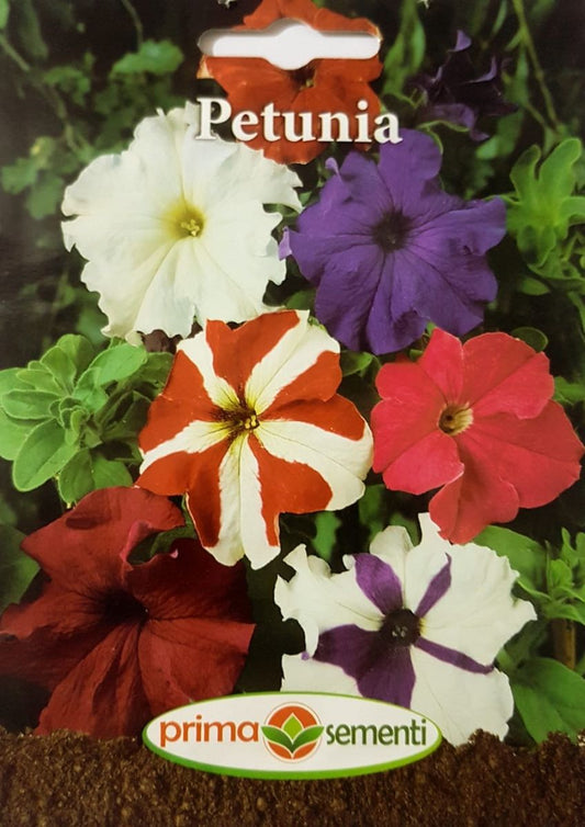 seminte-petunia-mix-de-culori-prima-sementi