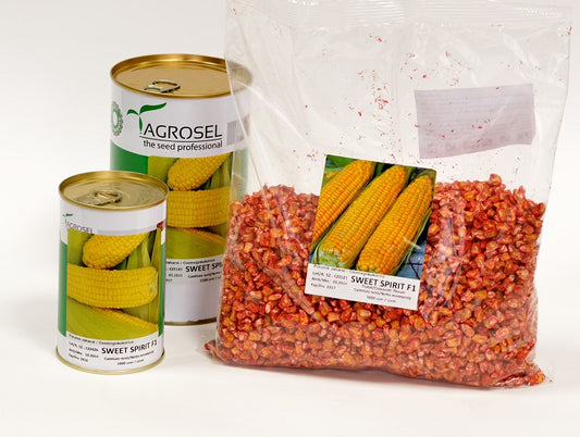 Seminte porumb zaharat (dulce) soi autohton Sweet Spirit F1 (5.000 seminte), Agrosel