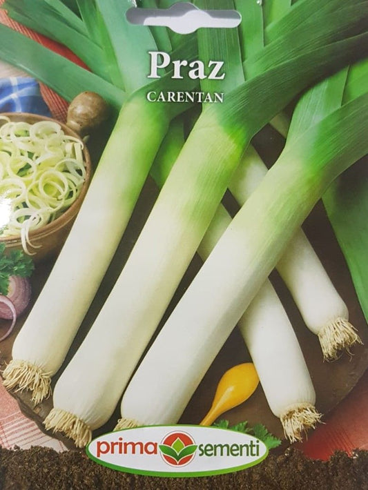 seminte-praz-carentan-prima-sementi
