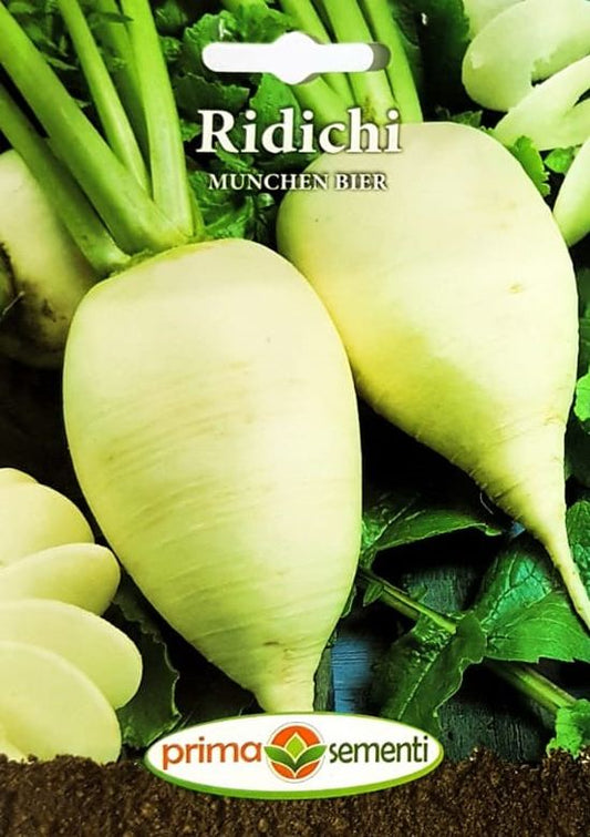 seminte-ridichi-albe-munchen-bier-prima-sementi