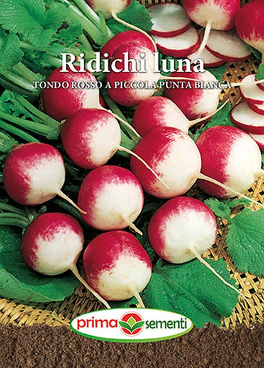Seminte ridichi de luna Tondo Rosso A Punta Bianca (6 g), Prima Seminti