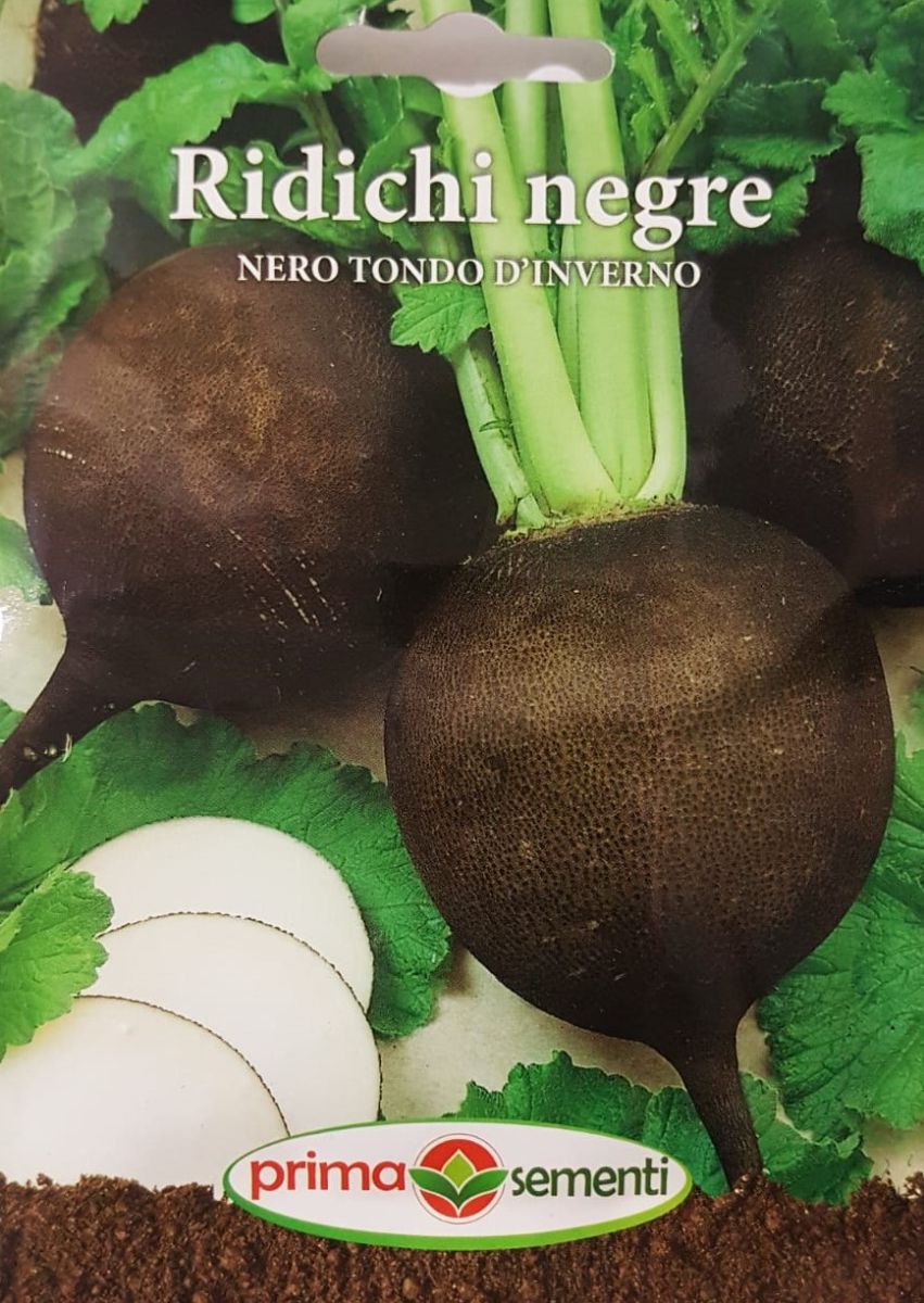 seminte-ridichi-negre-nero-tondo-dinverno-prima-sementi