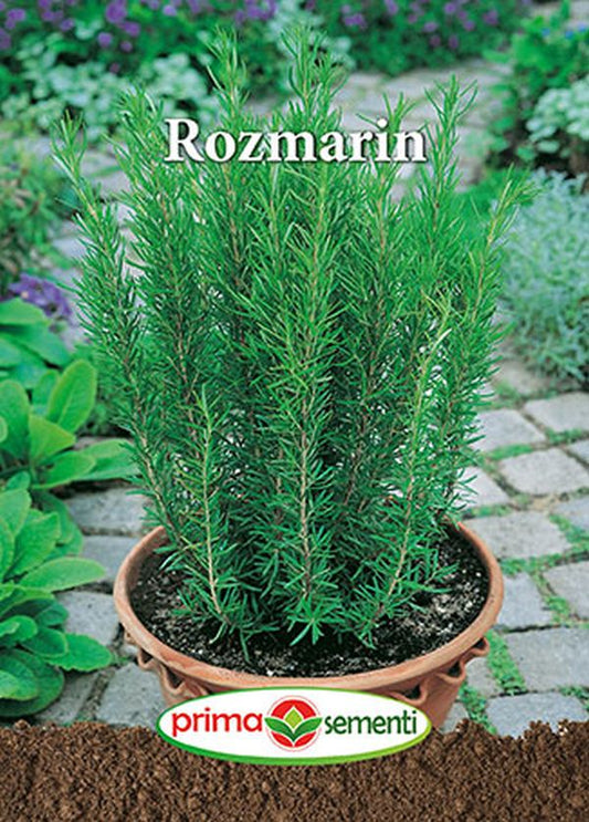 Seminte rozmarin (0.01 g), Prima Sementi