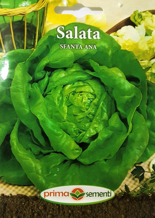 seminte-salata-capatana-sfanta-anna-prima-sementi