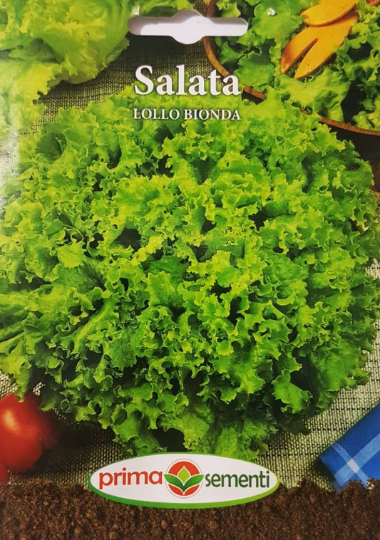 seminte-salata-creata-lollo-bionda-prima-sementi
