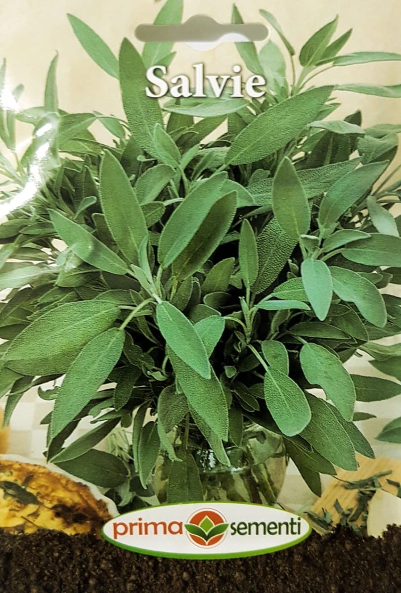 seminte-salvie-1-g-prima-sementi