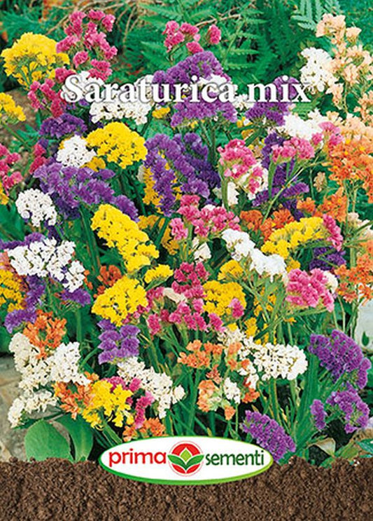 Seminte saraturica -mix de culori, Prima Sementi