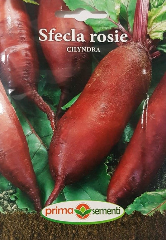 seminte-sfecla-rosie-cilyndra-prima-sementi