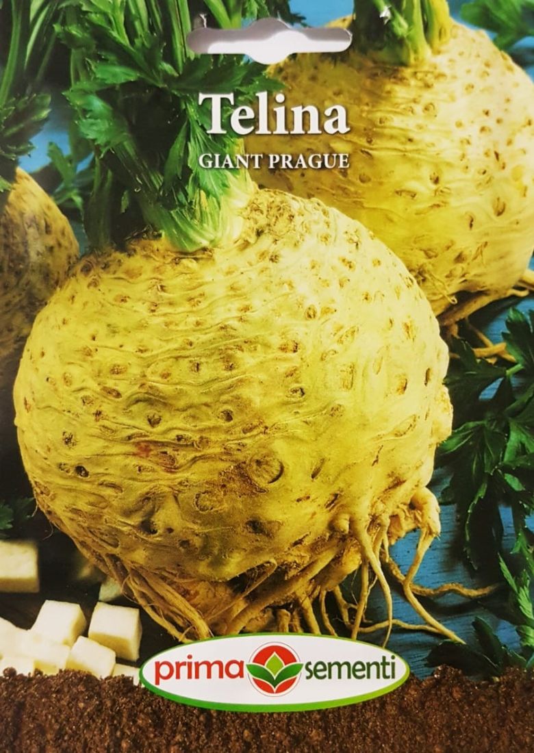 seminte-telina-giante-prague-prima-sementi