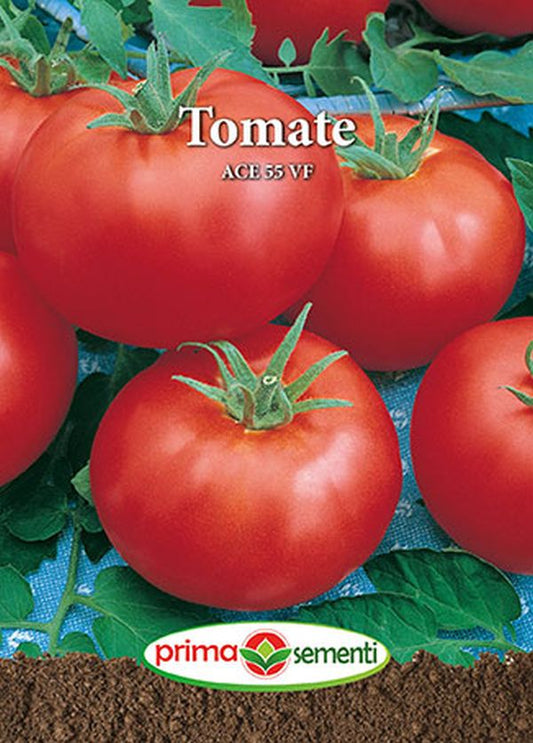 Seminte tomate Ace 55 VF (1 g), Prima Sementi
