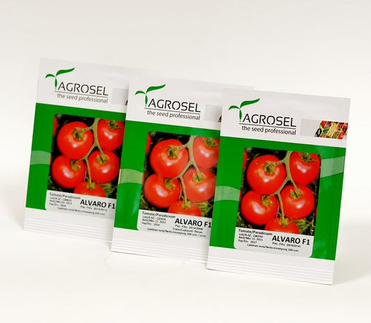 Seminte tomate Alvaro F1 (500 seminte), Agrosel