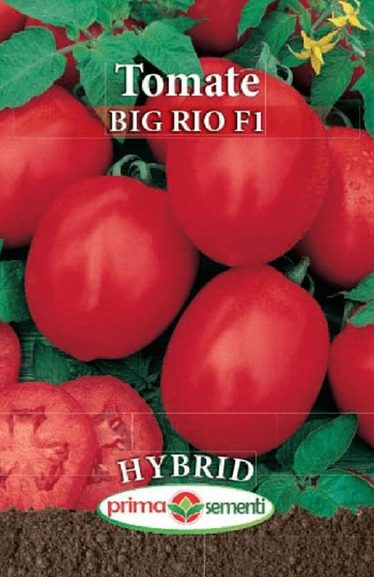 Seminte tomate Big Rio F1 (0.3 g), Prima Sementi