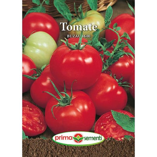 Seminte tomate Buzau 1600 (0.2 g), Prima Sementi