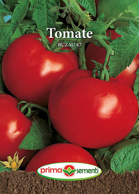 Seminte tomate de Buzau 47 (0.3 g), Prima Sementi