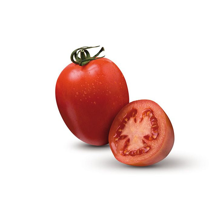 Seminte tomate Byelsa F1, Semillas Fito