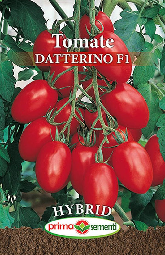 Seminte tomate Datterino F1 (0.2 g), Prima Sementi