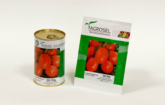 Seminte tomate soi autohton Silvia, Agrosel