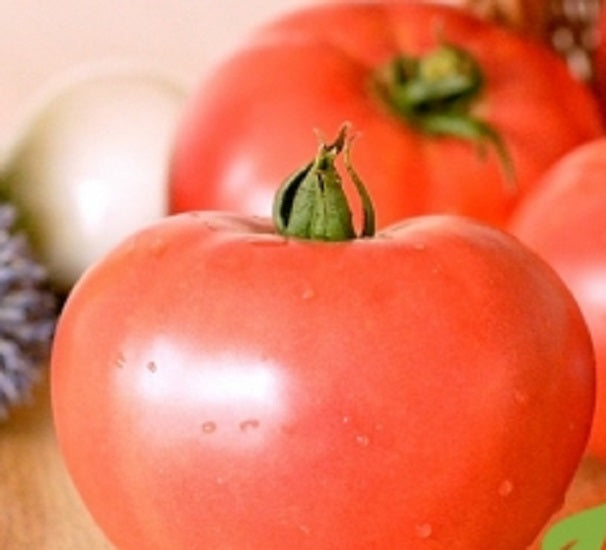Seminte tomate soi autohton Lilagro (3.000 seminte), Agrosel