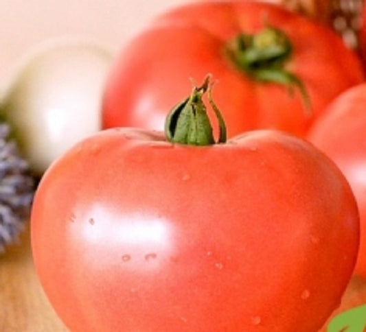 Seminte tomate soi autohton Lilagro (3.000 seminte), Agrosel