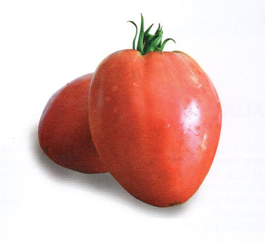 Seminte tomate soi autohton Sweetheart - Inima de bou (3.000 seminte), Agrosel