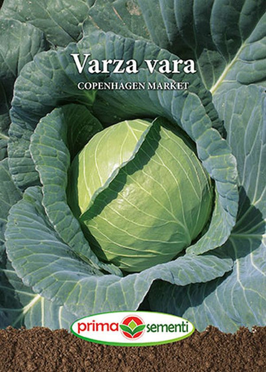 Seminte varza alba Copenhagen Market F1 (5 g), Prima Sementi