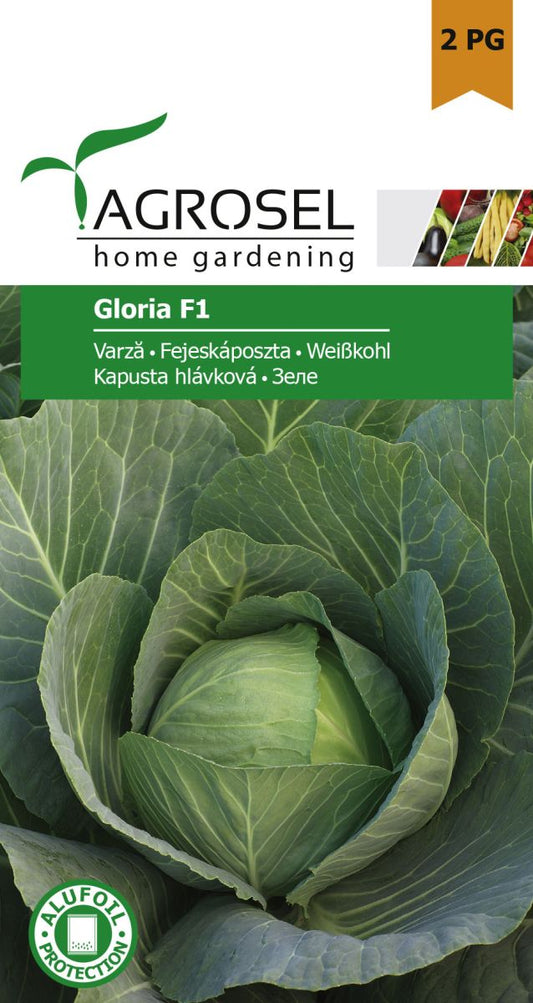 seminte-varza-alba-gloria-f1-100-g-agrosel