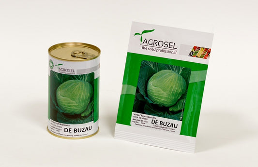 Seminte varza alba soi autohton de Buzau (25.000 seminte), Agrosel