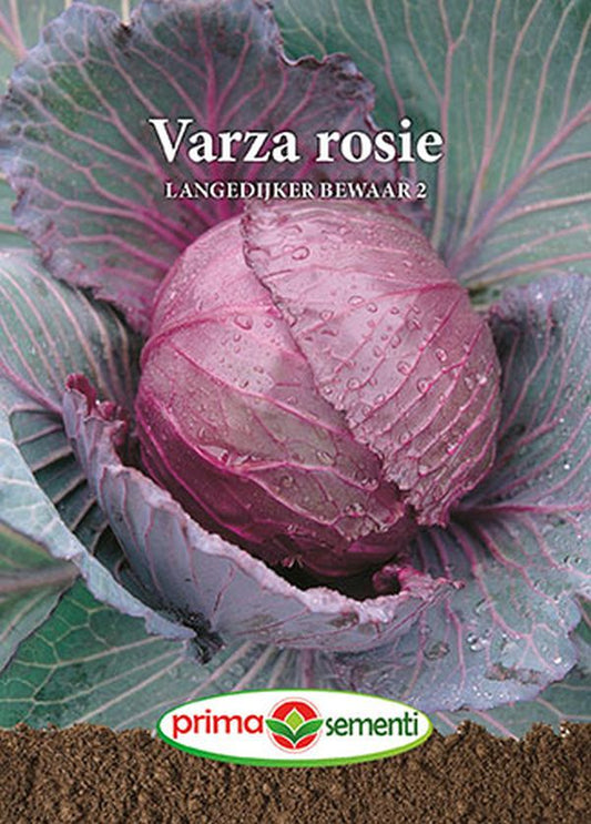 Seminte varza rosie Langedijker Bewaar (5 g), Prima Sementi