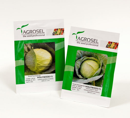 Seminte varza soi autohton Hollywood F1 (25.000 seminte), Agrosel