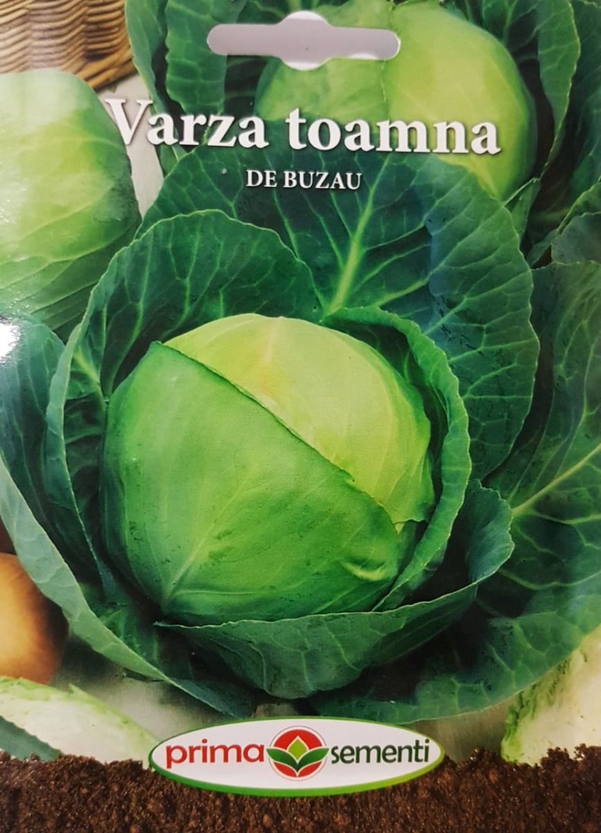 seminte-varza-toamna-de-buzau-prima-sementi