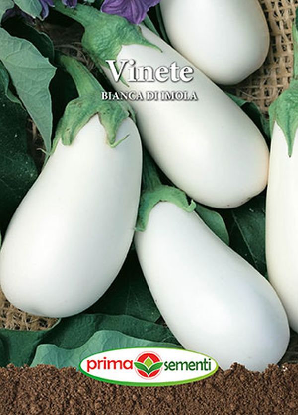 Seminte vinete Bianca Di Imola (1 g), Prima Sementi