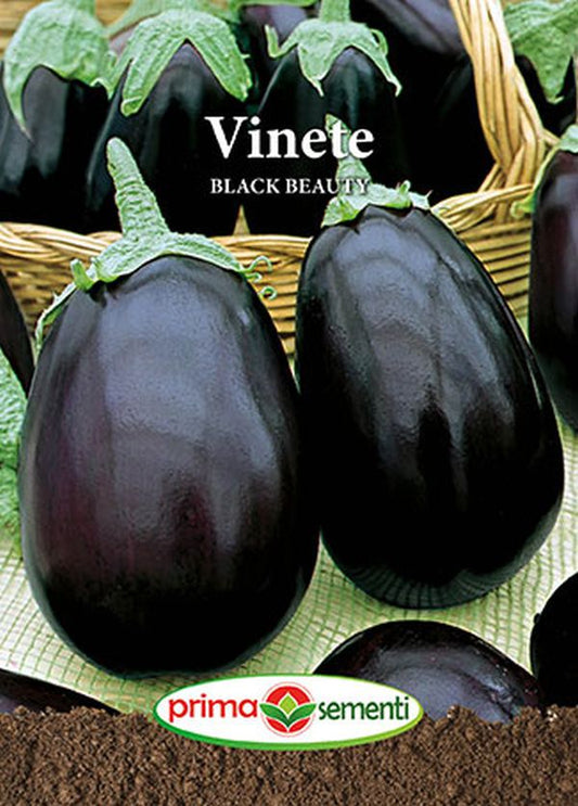 Seminte vinete Black Beauty (1 g), Prima Sementi