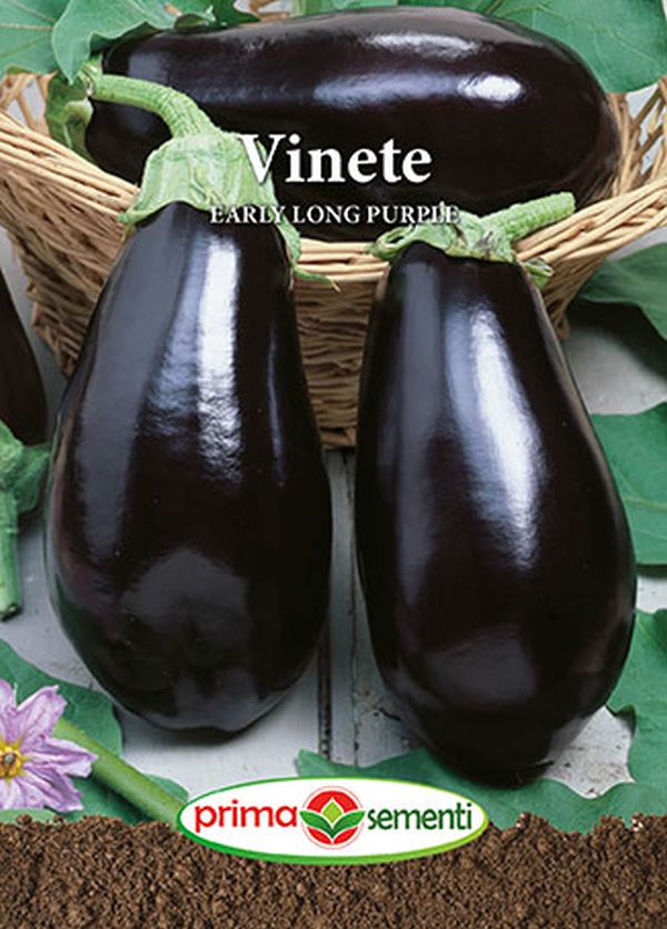 Seminte vinete Early Long Purple (1 g), Prima Sementi