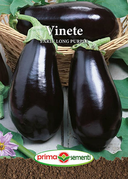 Seminte vinete Early Long Purple (1 g), Prima Sementi