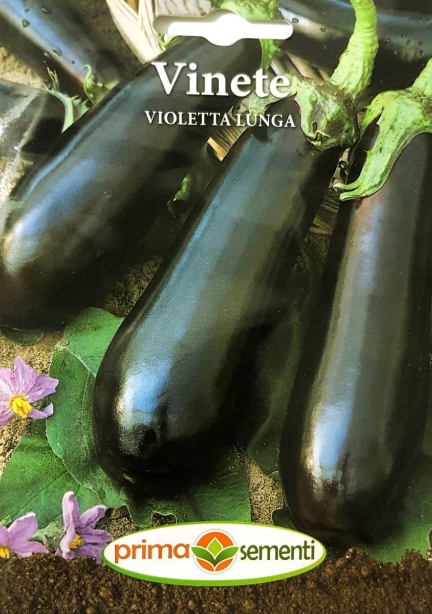 seminte-vinete-violetta-lunga-prima-sementi