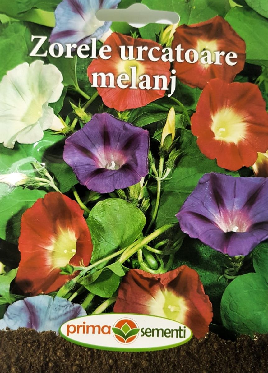 seminte-zorele-mix-de-culori-prima-sementi