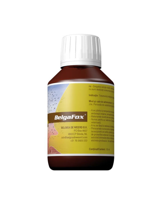 Supliment natural antiinfectios pentru porumbei BelgaFox (100 ml), Belgica De Weerd